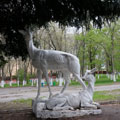 Kuybyshev Park - Balashov