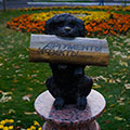 Памятник собаке Аифке