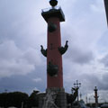 Rostral columns